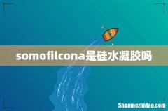 somofilcona是硅水凝胶吗