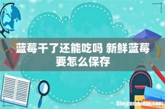 蓝莓干了还能吃吗 新鲜蓝莓要怎么保存