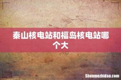 秦山核电站和福岛核电站哪个大