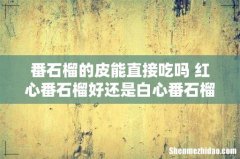 番石榴的皮能直接吃吗 红心番石榴好还是白心番石榴好