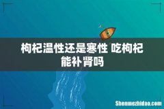 枸杞温性还是寒性 吃枸杞能补肾吗
