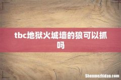 tbc地狱火城墙的狼可以抓吗