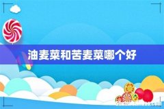 油麦菜和苦麦菜哪个好