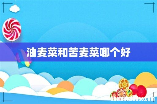 油麦菜和苦麦菜哪个好