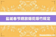 盐城春节燃放烟花爆竹规定