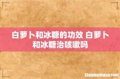 白萝卜和冰糖的功效 白萝卜和冰糖治咳嗽吗