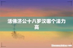 活佛济公十八罗汉哪个法力高