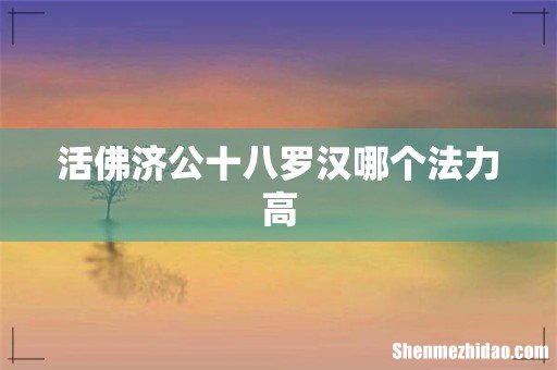活佛济公十八罗汉哪个法力高