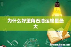 为什么好望角石油运输量最大