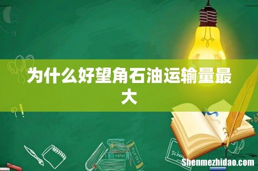 为什么好望角石油运输量最大