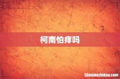 柯南怕痒吗