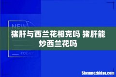猪肝与西兰花相克吗 猪肝能炒西兰花吗