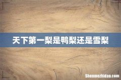 天下第一梨是鸭梨还是雪梨