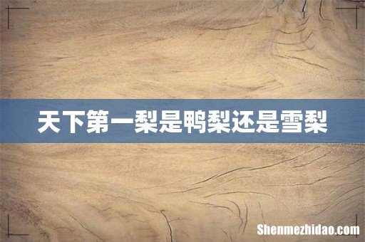 天下第一梨是鸭梨还是雪梨