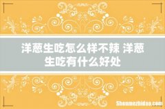 洋葱生吃怎么样不辣 洋葱生吃有什么好处