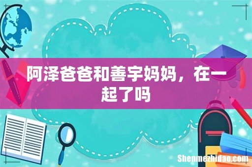 阿泽爸爸和善宇妈妈,在一起了吗