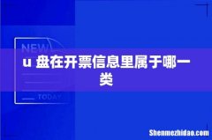 u 盘在开票信息里属于哪一类