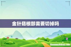 金针菇根部需要切掉吗