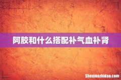 阿胶和什么搭配补气血补肾