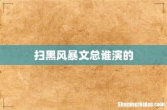 扫黑风暴文总谁演的