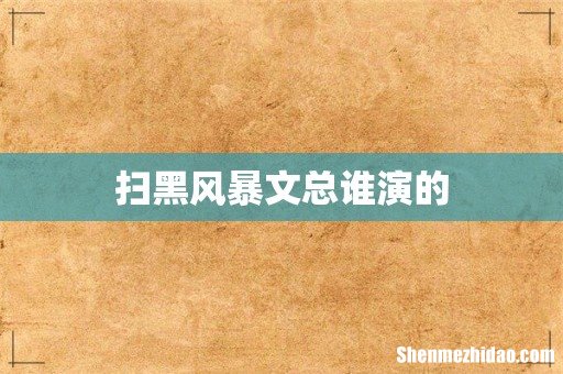 扫黑风暴文总谁演的
