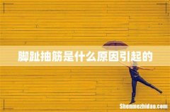 脚趾抽筋是什么原因引起的