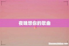 夜晚想你的歌曲