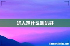 听人声什么喇叭好