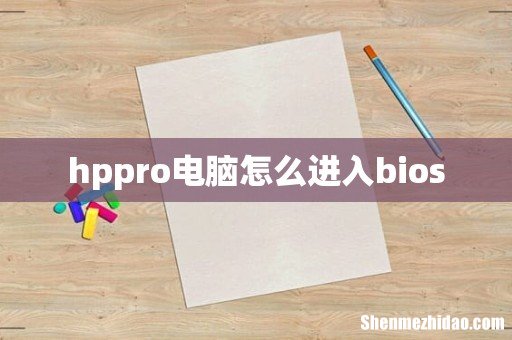 hppro电脑怎么进入bios