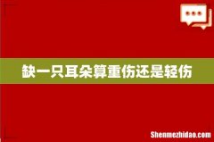 缺一只耳朵算重伤还是轻伤