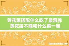 黄花菜搭配什么吃了最营养 黄花菜不能和什么菜一起吃