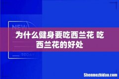 为什么健身要吃西兰花 吃西兰花的好处