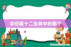华佗属十二生肖中的哪个
