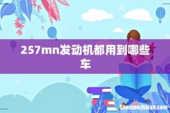 257mn发动机都用到哪些车
