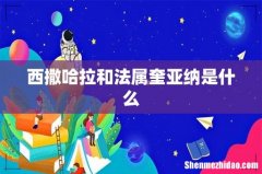 西撒哈拉和法属奎亚纳是什么