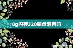 8g内存320硬盘够用吗