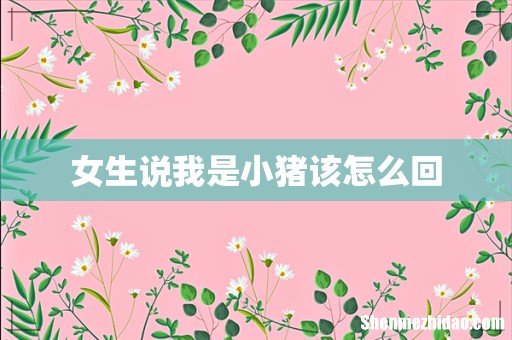 女生说我是小猪该怎么回