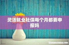 灵活就业社保每个月都要申报吗