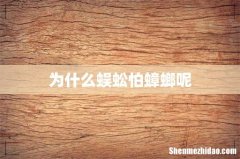 为什么蜈蚣怕蟑螂呢