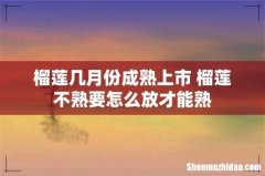 榴莲几月份成熟上市 榴莲不熟要怎么放才能熟