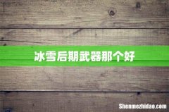 冰雪后期武器那个好