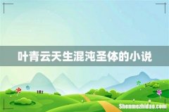 叶青云天生混沌圣体的小说