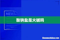 酸钠盐是火碱吗