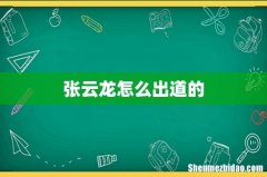 张云龙怎么出道的