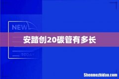 安踏创20碳管有多长