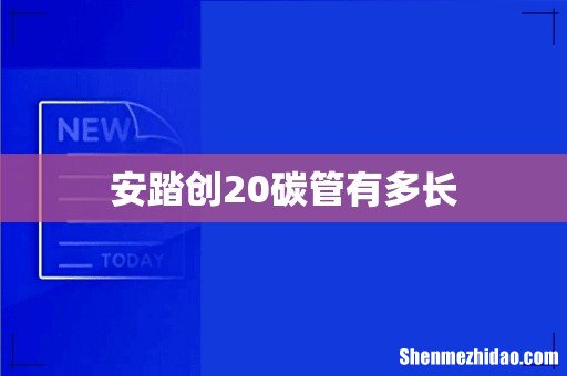 安踏创20碳管有多长