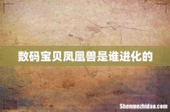 数码宝贝凤凰兽是谁进化的