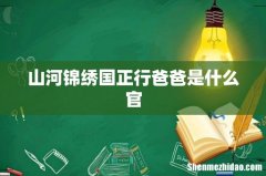 山河锦绣国正行爸爸是什么官