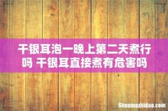 干银耳泡一晚上第二天煮行吗 干银耳直接煮有危害吗
