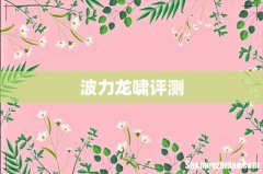 波力龙啸评测